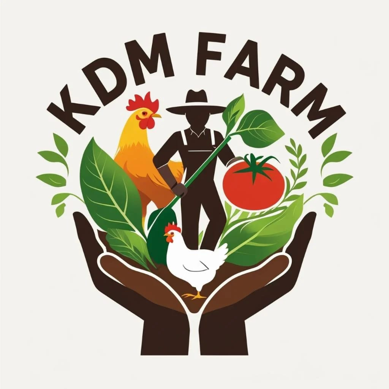 KMG Tech Hub brand identity design